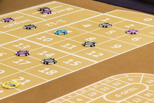 星空体育官网-高频转换节奏是否增加球队整体失误风险，高频转低频转换器使用方法